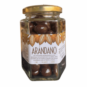 Arándanos naturales cubiertos con chocolate 70% cacao, elaboración artesanal Pochteca.