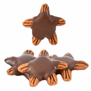 Tortugas de chocolate artesanal con nuez pecana y datil Luna Cacau.